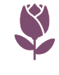 Logo de Evelyn Freire de Carvalho